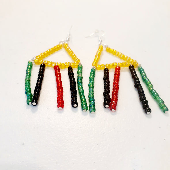 Eccentric Sass Dangle Earrings